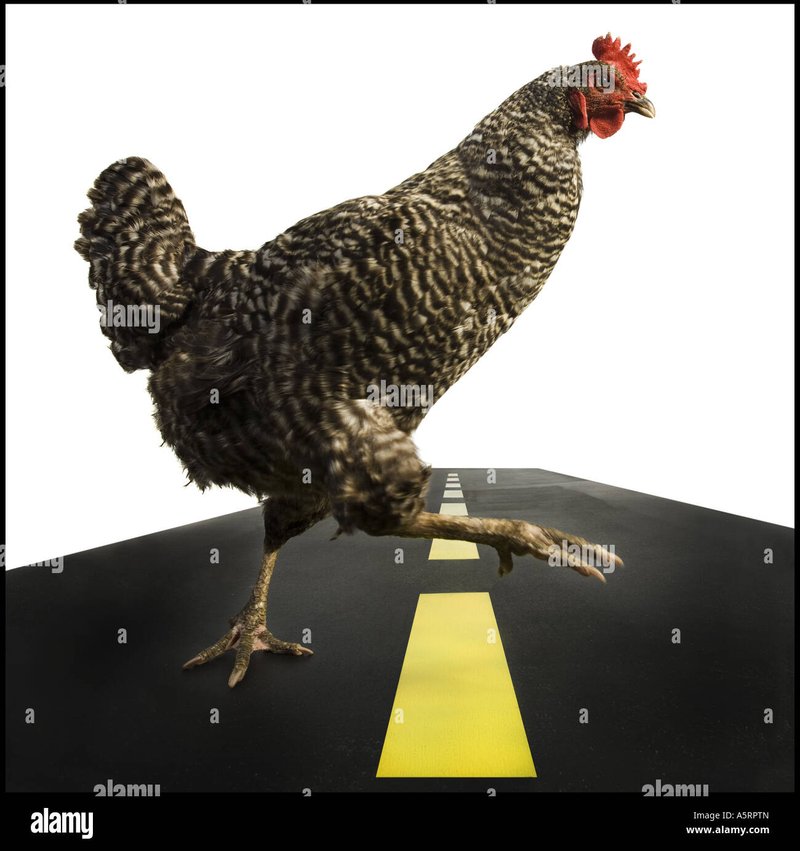 Descubre el Atracción de Chicken Road Casino en España en Línea in Spain